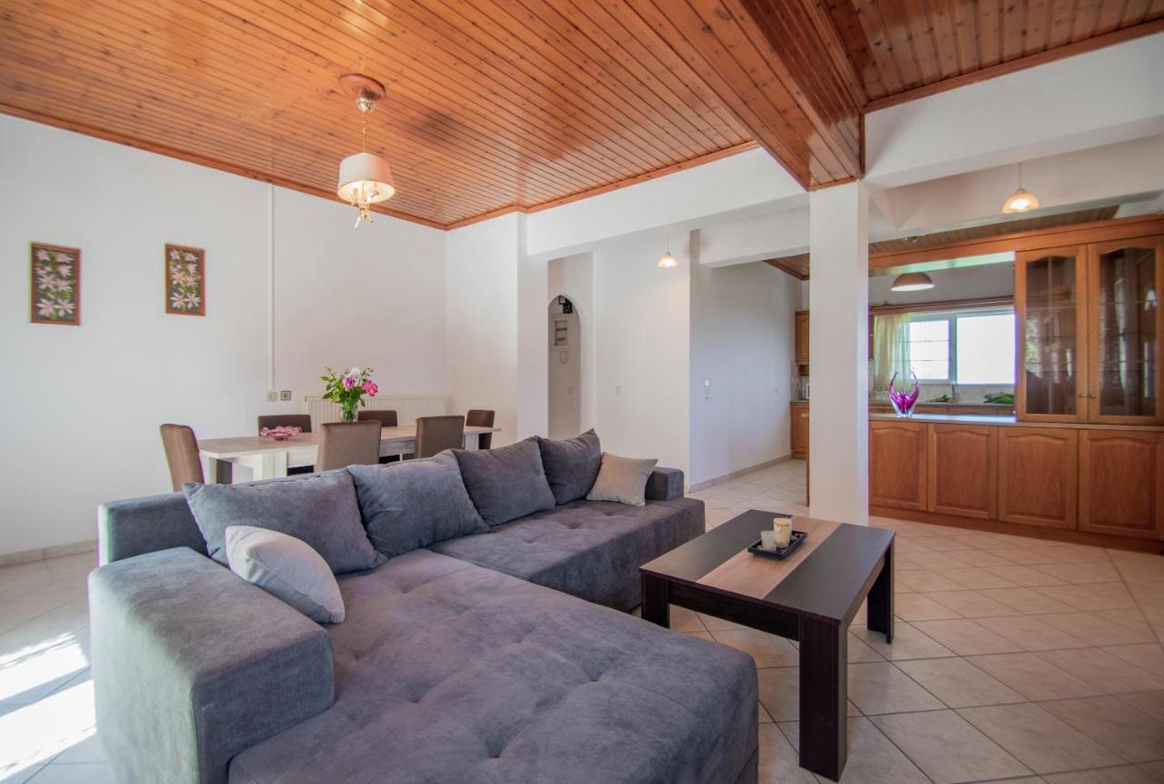 Family Private Homes & Sea View Lithakia  Екстер'єр фото